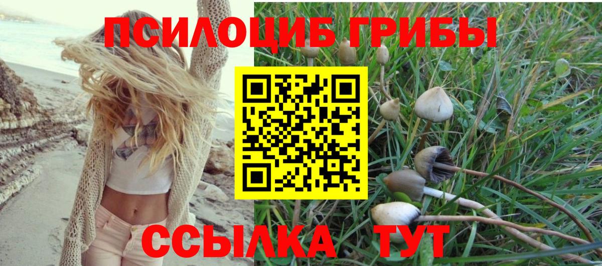 Псилоцибиновые грибы ЛСД  Вход с VPN  Конаково  Псилоцибиновые грибы MAGIC MUSHROOMS 